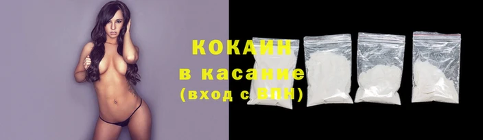 молекула духа Елизово
